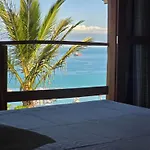 Suite Passaros